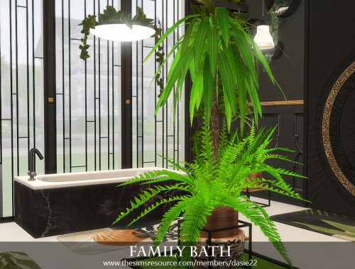Family Bath