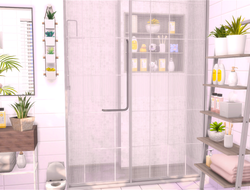 Family Bathroom - CC needed