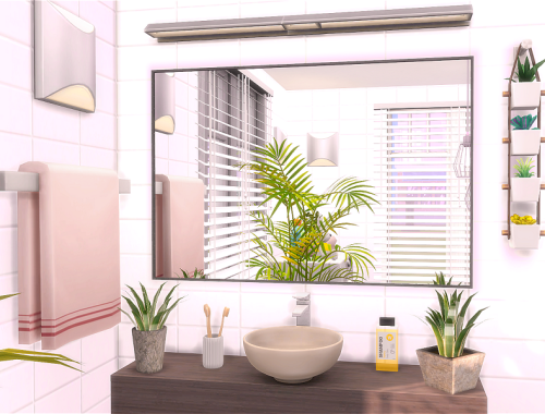Family Bathroom - CC needed
