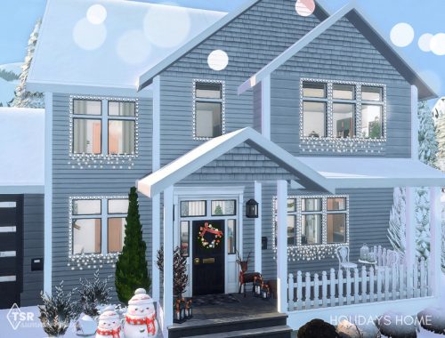 Family Home for the Holidays