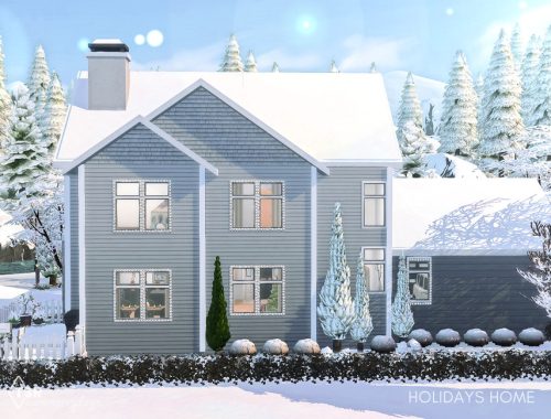 Family Home for the Holidays