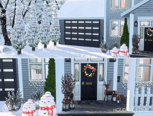 Family Home for the Holidays