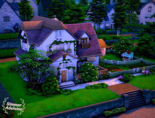 Family Shell 4