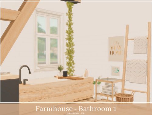 Farmhouse Bathroom 1