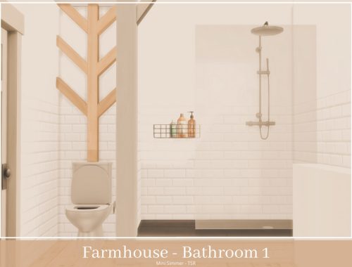 Farmhouse Bathroom 1