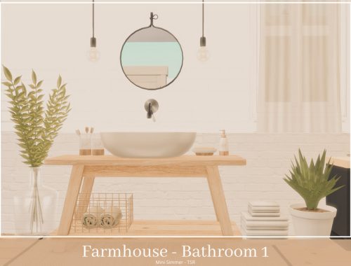 Farmhouse Bathroom 1