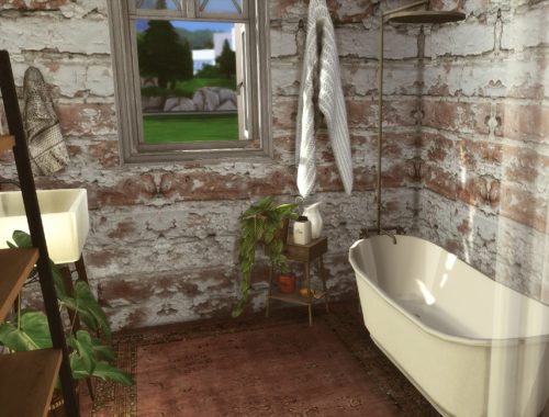 Farmhouse bathroom