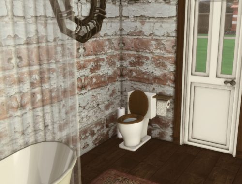 Farmhouse bathroom