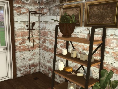 Farmhouse bathroom