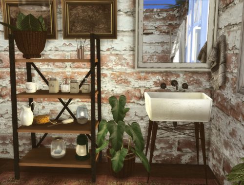 Farmhouse bathroom