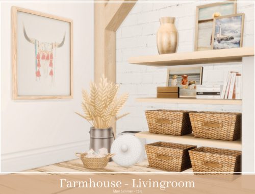 Farmhouse Living room