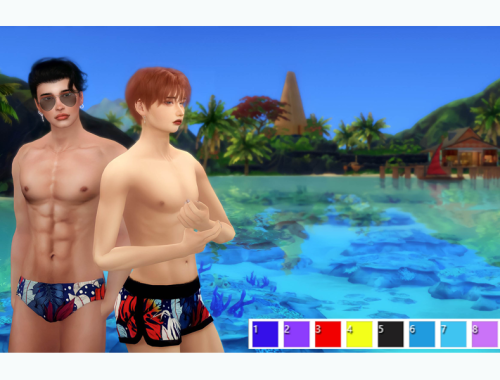 Miniwa Men's SwimwearCollection