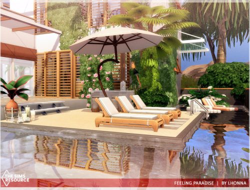Feeling Paradise /No CC/
