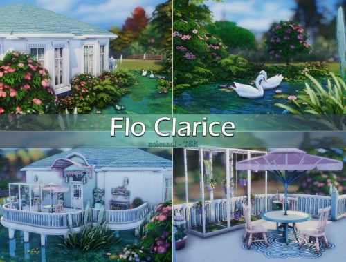 Flo Clarice / No CC
