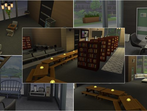 Black Moderna Library