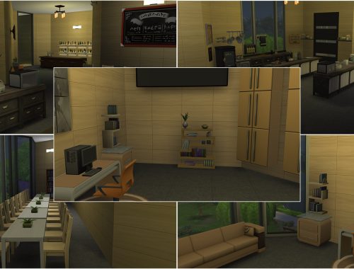 Black Moderna Library