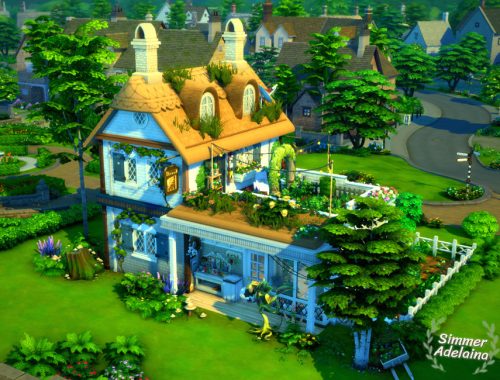 Flower&Groceries Shops