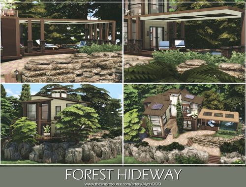 Forest Hideway