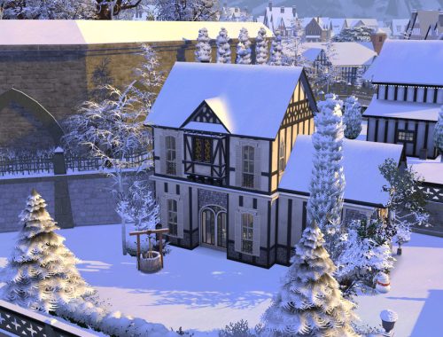 Freddie’s 2020 Christmas – The Lot