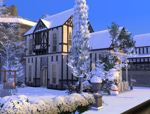 Freddie’s 2020 Christmas – The Lot