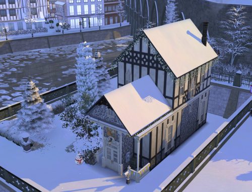 Freddie’s 2020 Christmas – The Lot