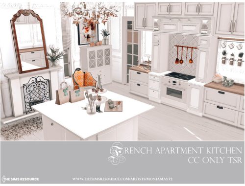 French Apartment Kitchen