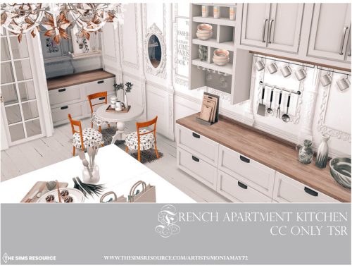 French Apartment Kitchen