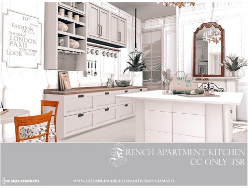 French Apartment Kitchen