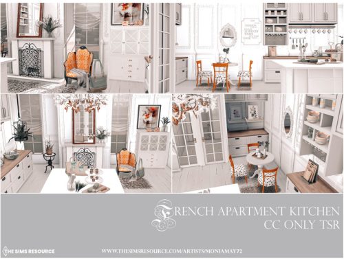 French Apartment Kitchen