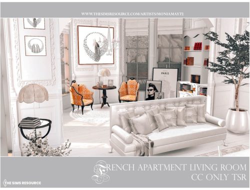 French Apartment Living Room