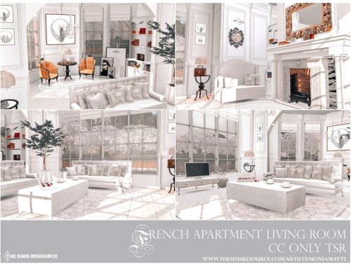 French Apartment Living Room