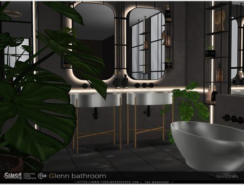 Glenn bathroom