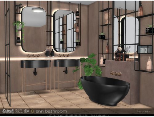Glenn bathroom
