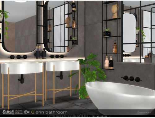 Glenn bathroom