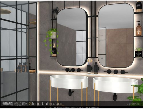 Glenn bathroom