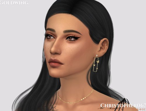 Goldwing Earrings / Christopher067