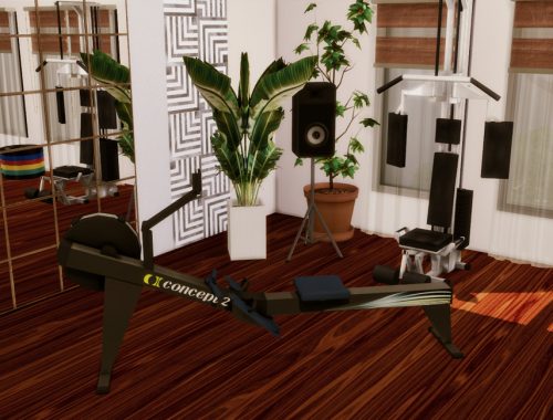 Gracja House Gym | Only TSR CC