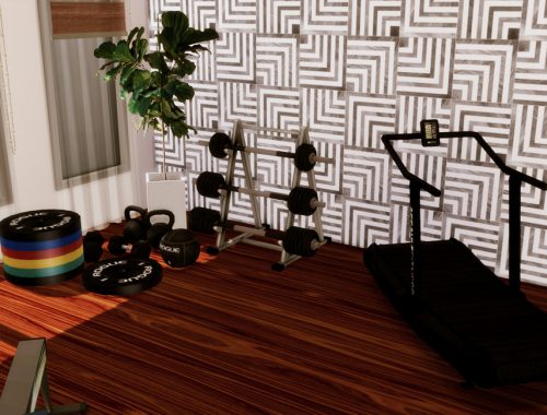 Gracja House Gym | Only TSR CC