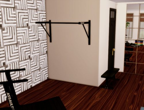 Gracja House Gym | Only TSR CC