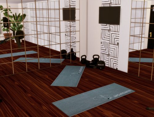 Gracja House Gym | Only TSR CC