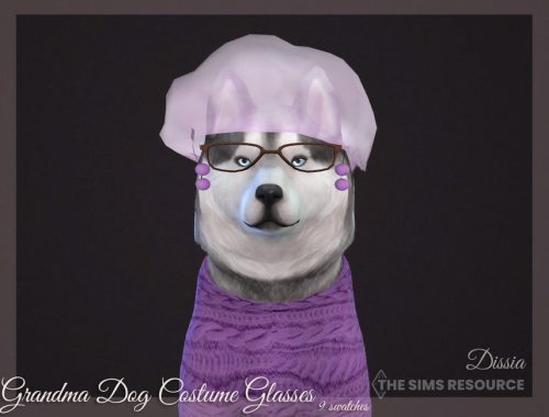 Grandma Dog Costume Glasses