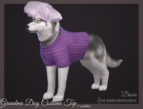 Grandma Dog Costume Top