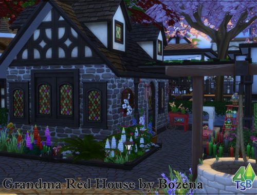 Grandma Red House