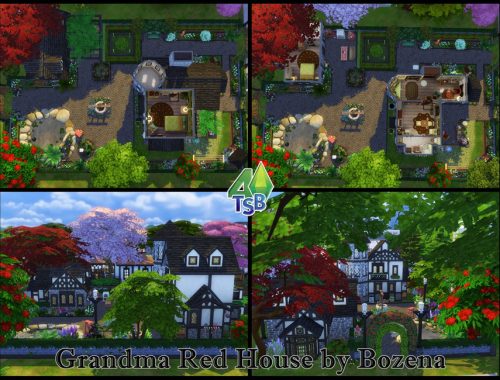 Grandma Red House