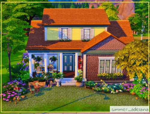 Grandma's House