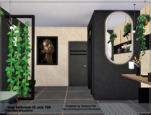 Greg bathroom-CC only TSR