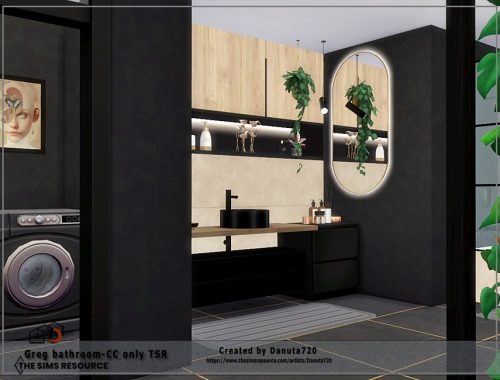 Greg bathroom-CC only TSR