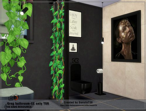 Greg bathroom-CC only TSR
