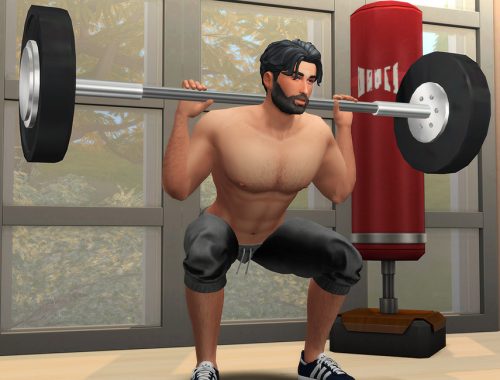 Gym (Pose pack)