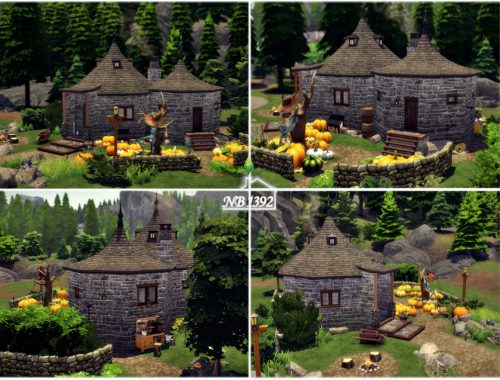 Hagrid's Hut